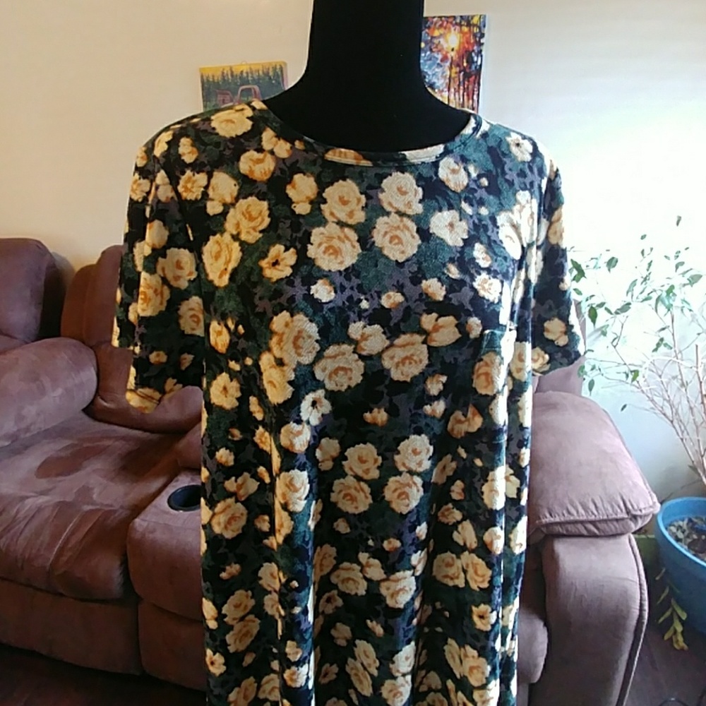 BNWT L LULAROE CARLY.